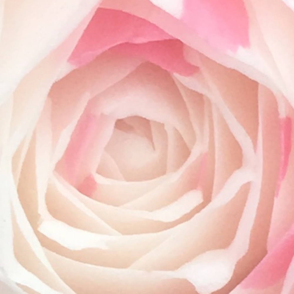 Meet your Posher, Anastasia